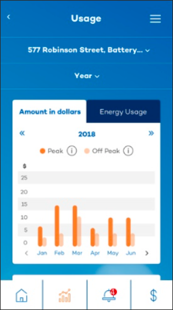 Daily energy usage screen